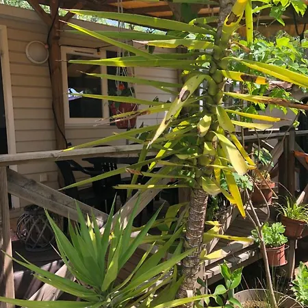 Mobil Climatise Camping 4* Du Roi Les Jardins De Tivoli Hotel