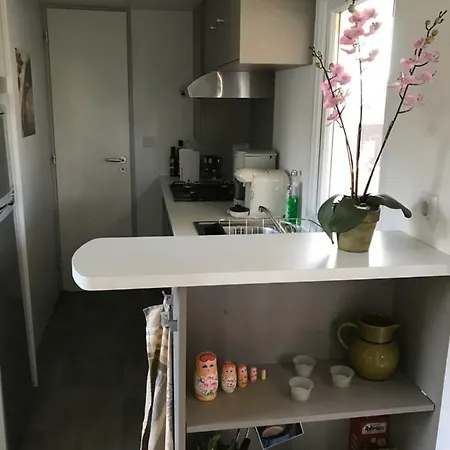 Hotel Mobil Climatise Camping 4* Du Roi Les Jardins De Tivoli Le Grau-du-Roi